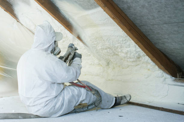 Best Basement Insulation  in Norwood, NJ